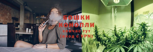 крисы Медногорск
