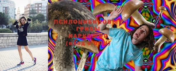 крисы Медногорск
