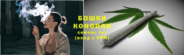 крисы Медногорск