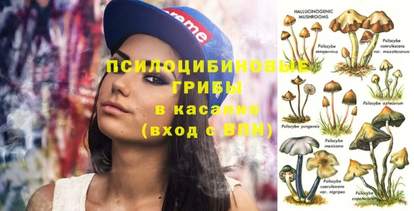 винт Бердск
