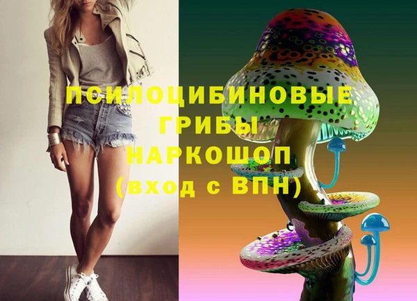 крисы Медногорск