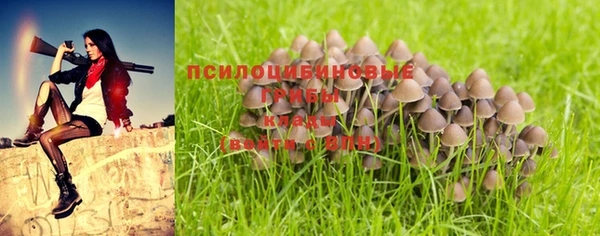 первитин Мегион