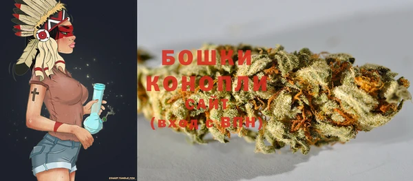 крисы Медногорск
