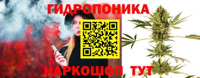 мяу мяу мука Аргун