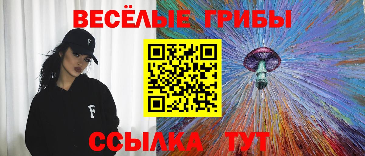 Псилоцибиновые грибы Cubensis  Волгоград 